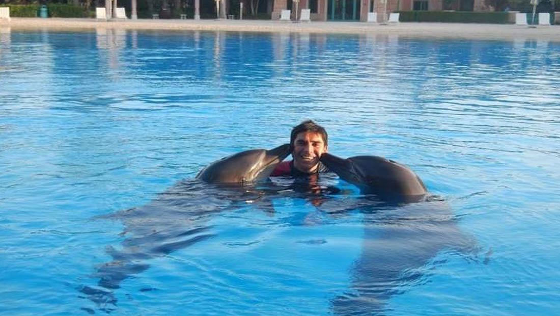 delfines2