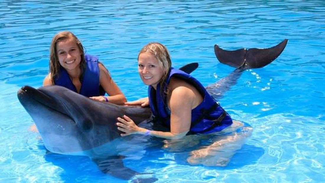 delfines3
